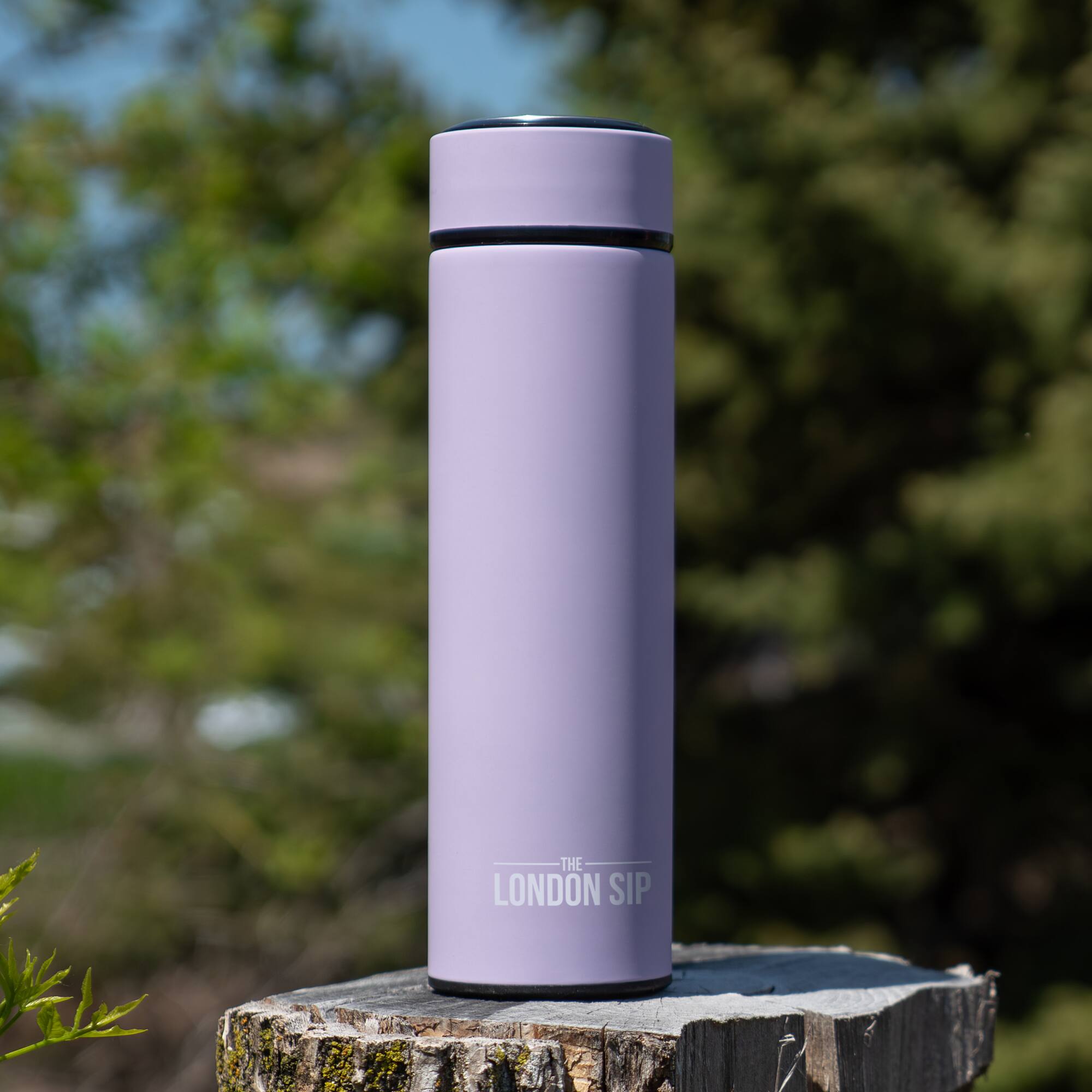 THE LONDON SIP