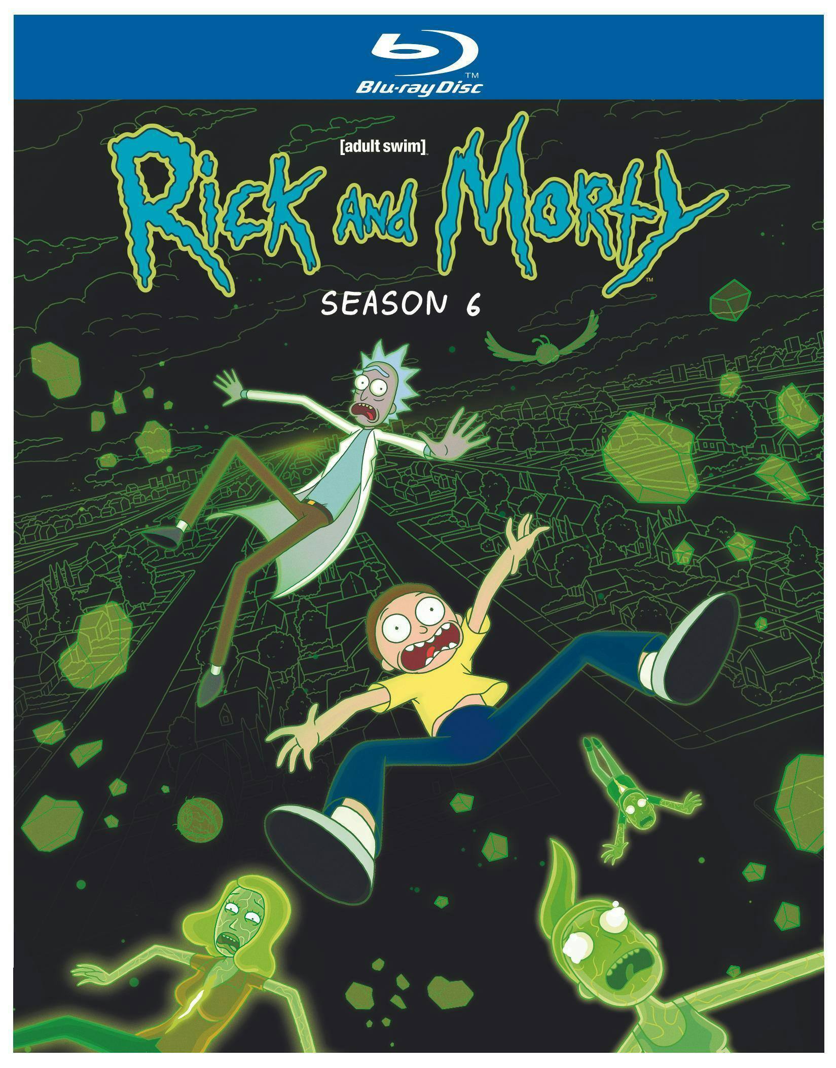 Rick and Morty: Season 6 [Blu-ray] [Standard]