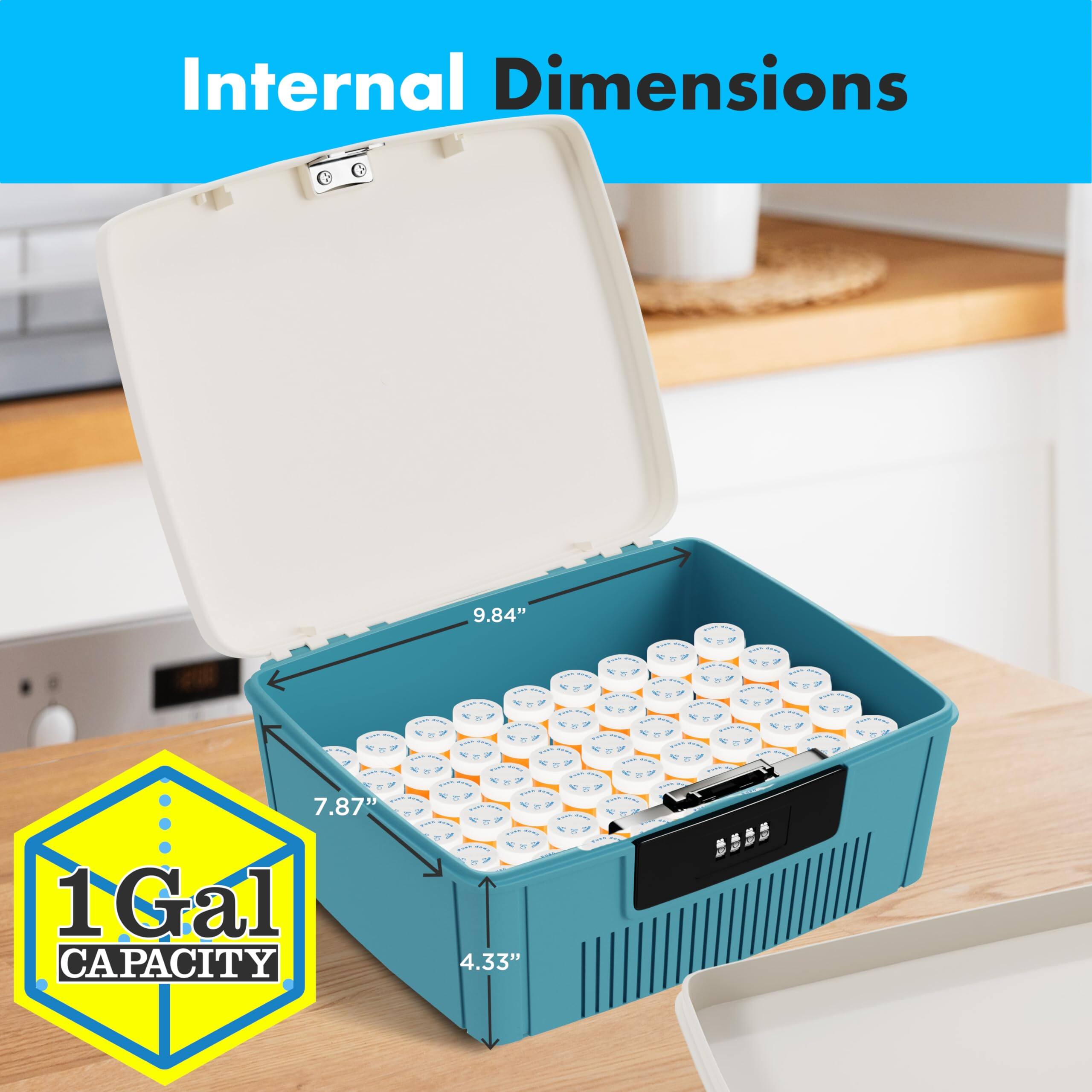 Internal Dimensions: 9.84" x 7.87" x 4.33"  
1 Gal Capacity