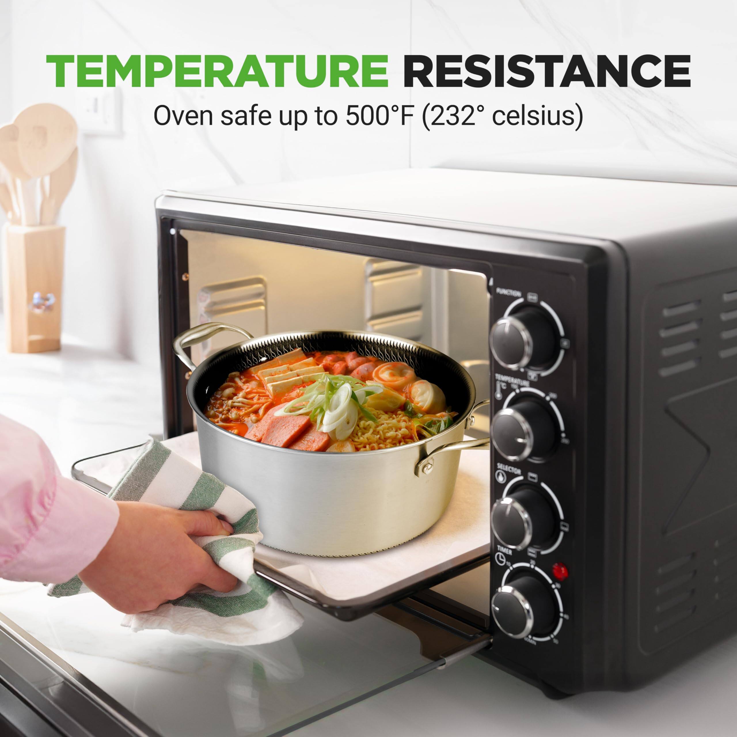 TEMPERATURE RESISTANCE  
Oven safe up to 500°F (232°C)