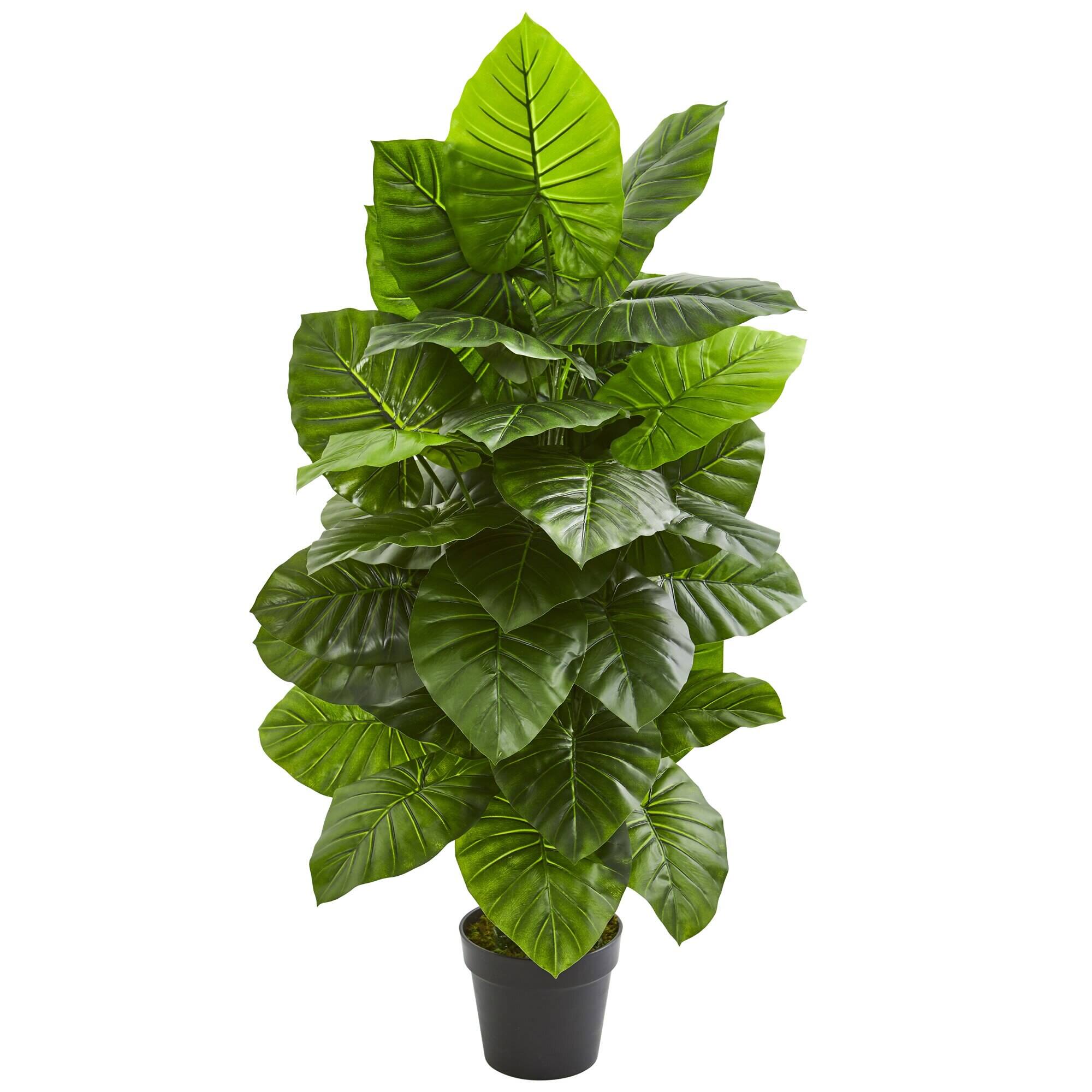 Front. BreeBe - 4' Taro Artificial Plant - Green.