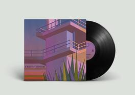 A Vision of Panorama - Serene Architect - VINYL LP