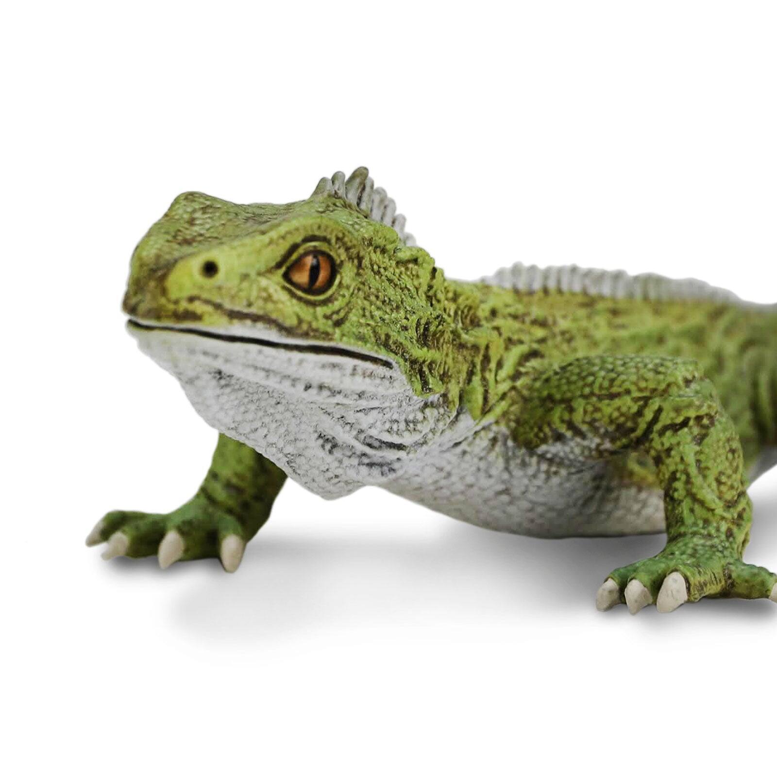 Alt View 3. Safari Ltd. - Tuatara Toy Figurine.
