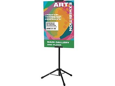 Excello Global Products - Blank Indoor/Outdoor Floor Sign, 13" x 86", (EGP-HD-0523) - Black