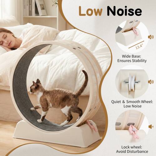 Low Noise

13.4" Wide Base: Ensures Stability

Quiet & Smooth Wheel: Low Noise

Lock Wheel: Avoid Disturbance
