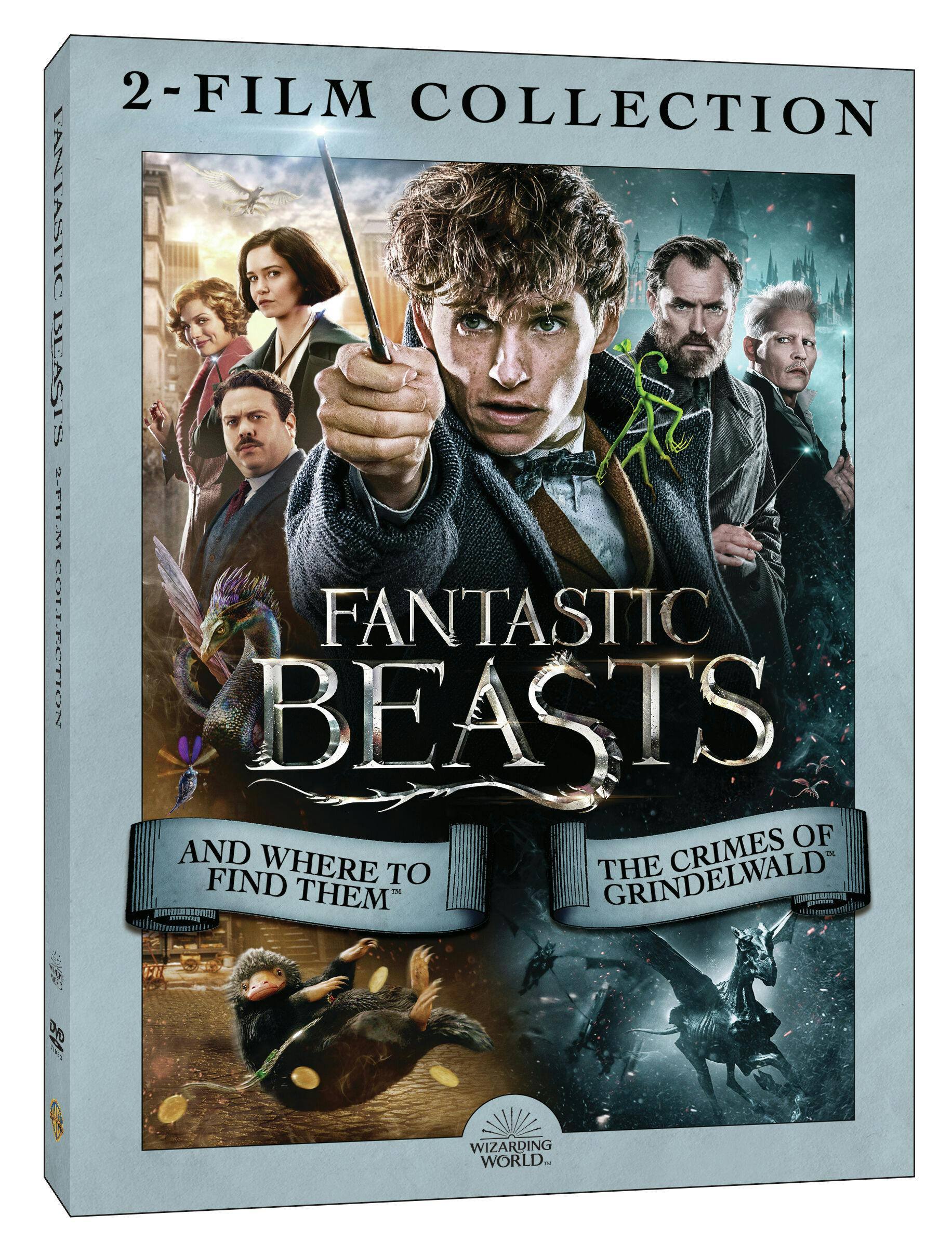 Angle. Fantastic Beasts: 2-film Collection (DVD Double Feature) [DVD].