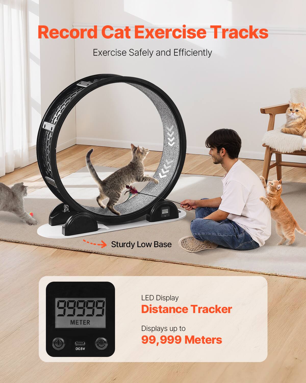 Record Cat Exercise Tracks  
Exercise Safely and Efficiently  

Sturdy Low Base  

LED Display Distance Tracker  
Displays up to 99,999 Meters