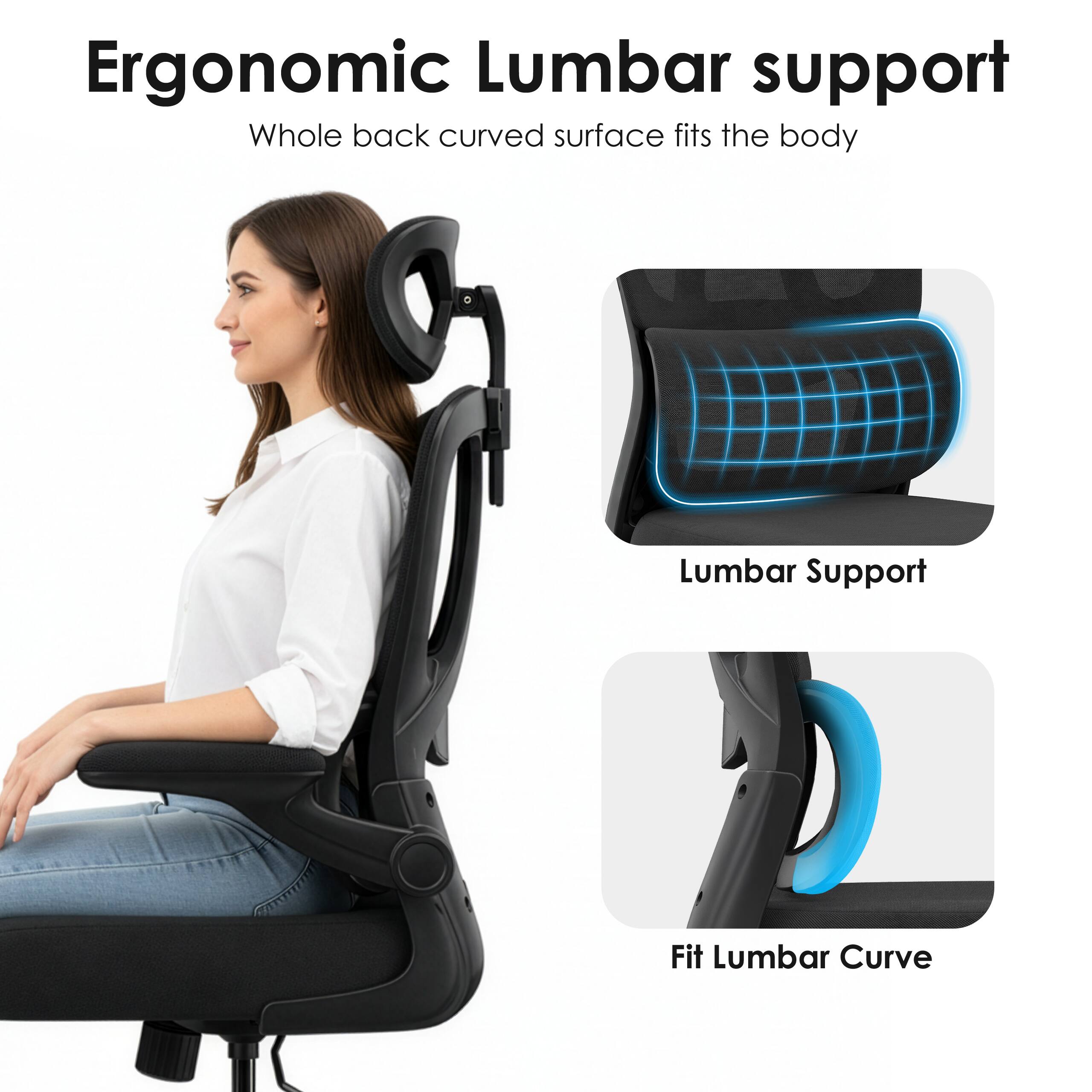 Ergonomic Lumbar support  
Whole back curved surface fits the body  

Lumbar Support  

Fit Lumbar Curve