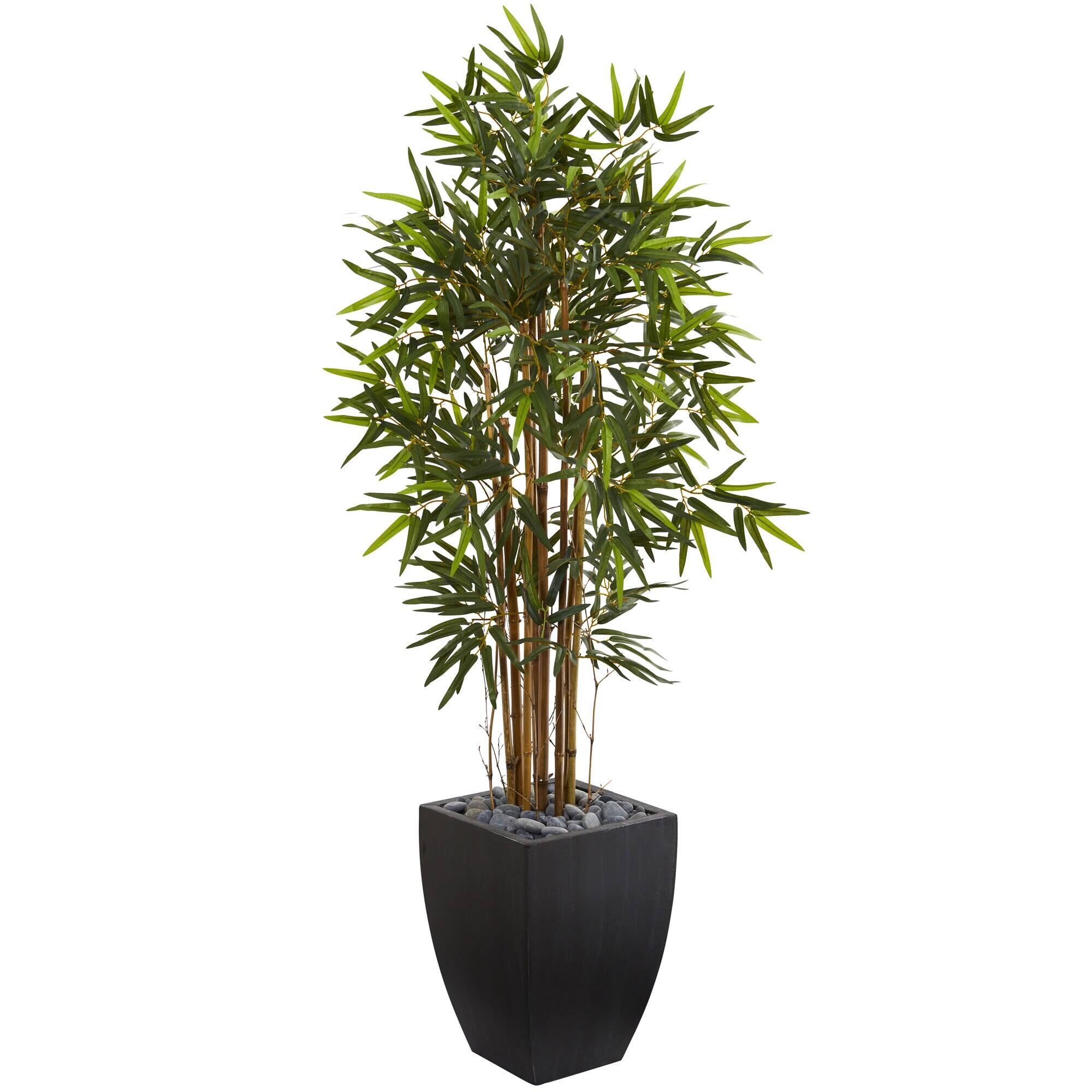 Front. BreeBe - 5' Bamboo Tree in Black Wash Planter - Green.