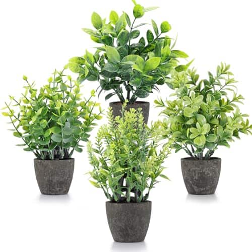 Stylel Star - 4 Pack Plants Ceramic Mini Artificial Greenery Potted For Home Decor Office Room Farmhouse Indoor Table Bathroom - Black