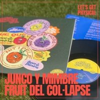 Fruit del Col-Lapse [LP] - VINYL - Front_Zoom