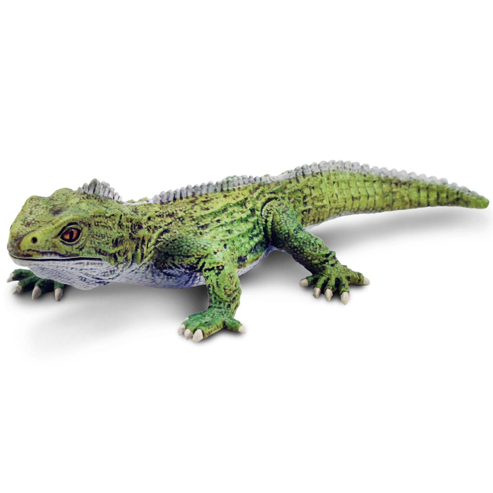 Front. Safari Ltd. - Tuatara Toy Figurine.