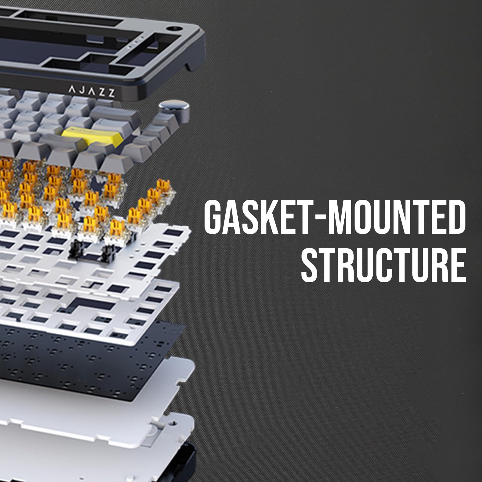 GASKET-MOUNTED STRUCTURE