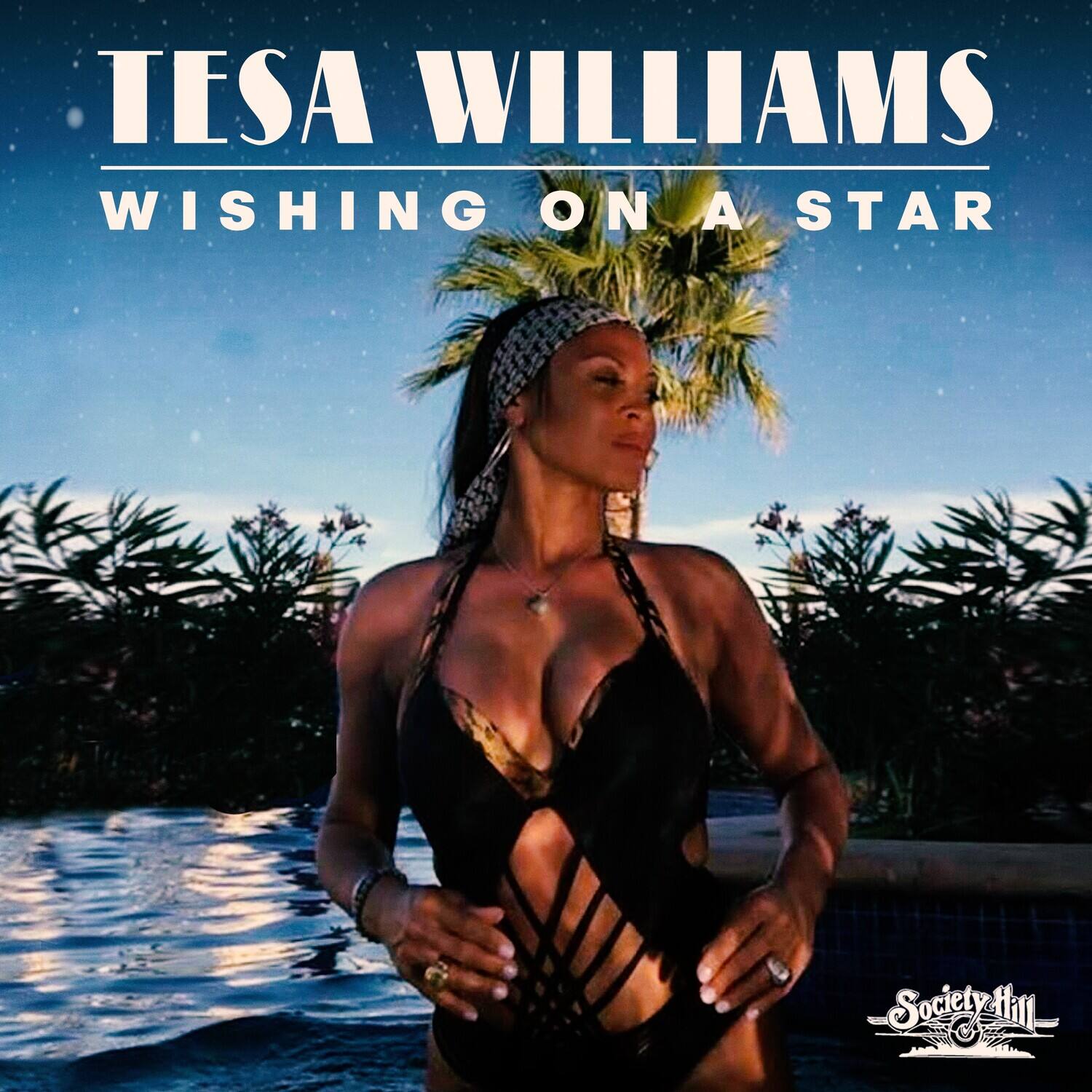 Tesa Williams - Wishing On A Star   - COMPACT DISCS [CD]