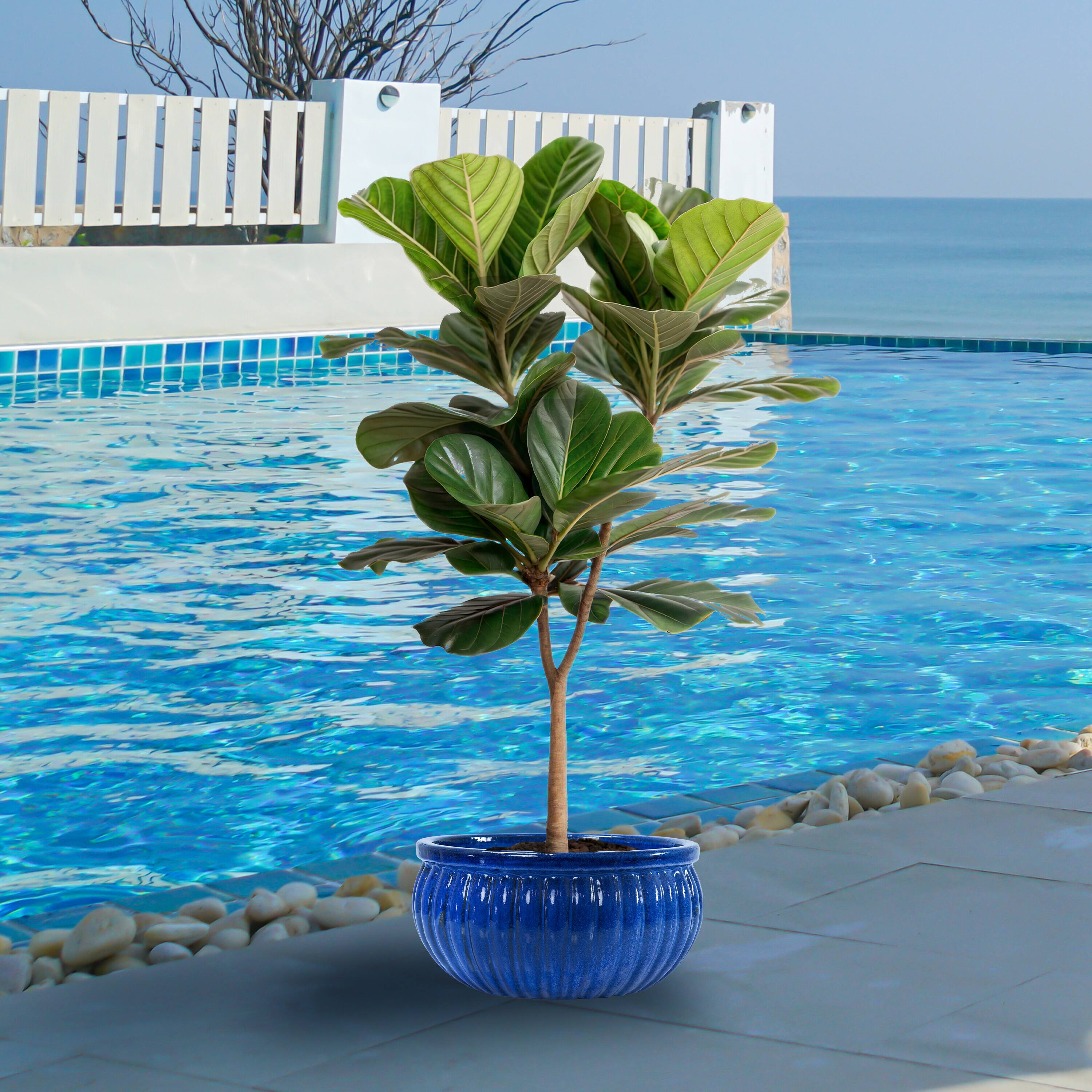 Alt View 7. Sunnydaze - 14.5” Round Ribbed Ceramic Planter Bowl - Imperial Blue.