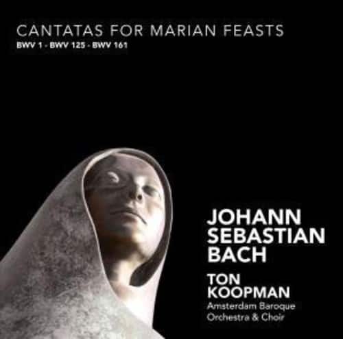 Ton Koopman - Cantatas for Marian Feasts  - COMPACT DISCS