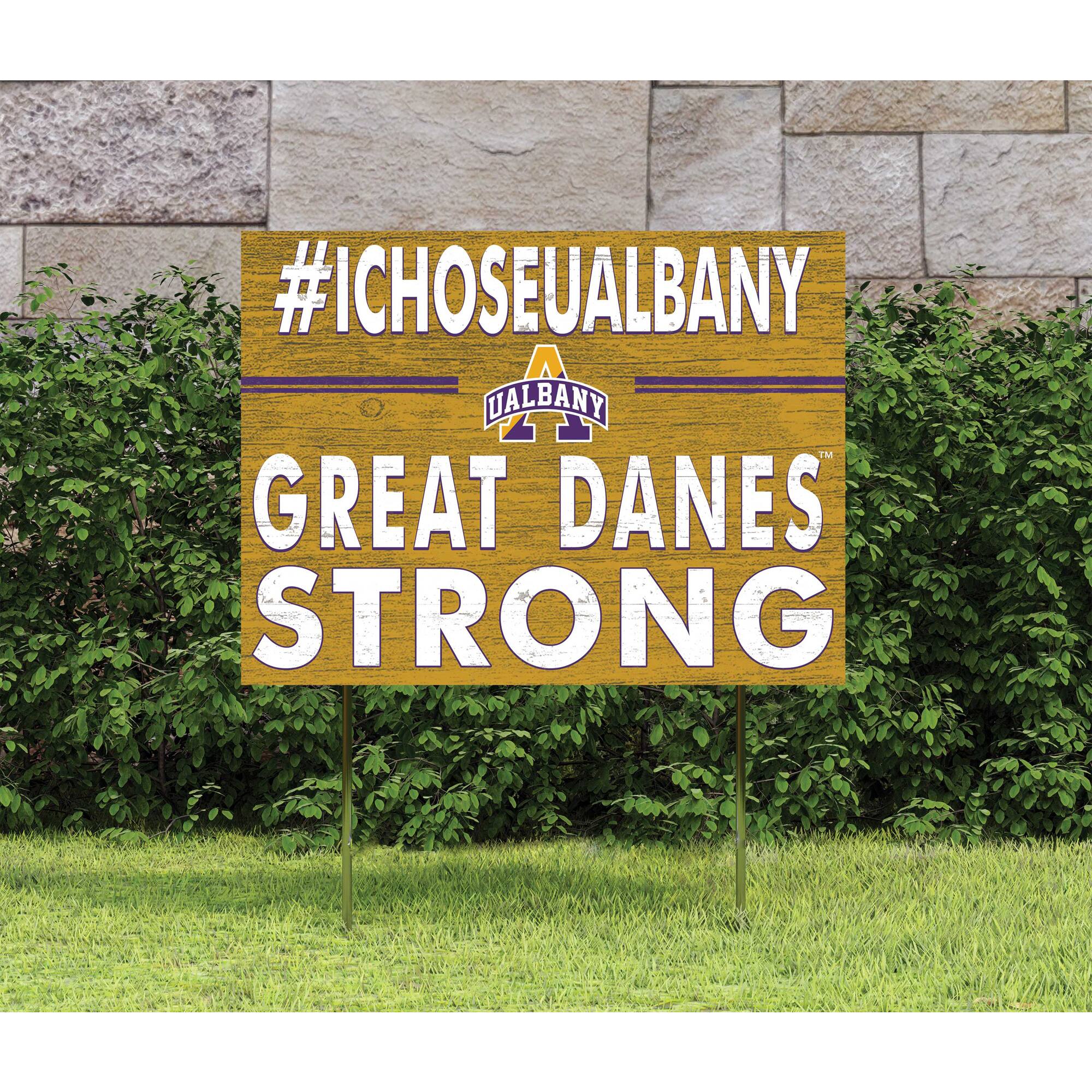 #ICHOOSEALBANY  
UALBANY  
GREAT DANES  
STRONG