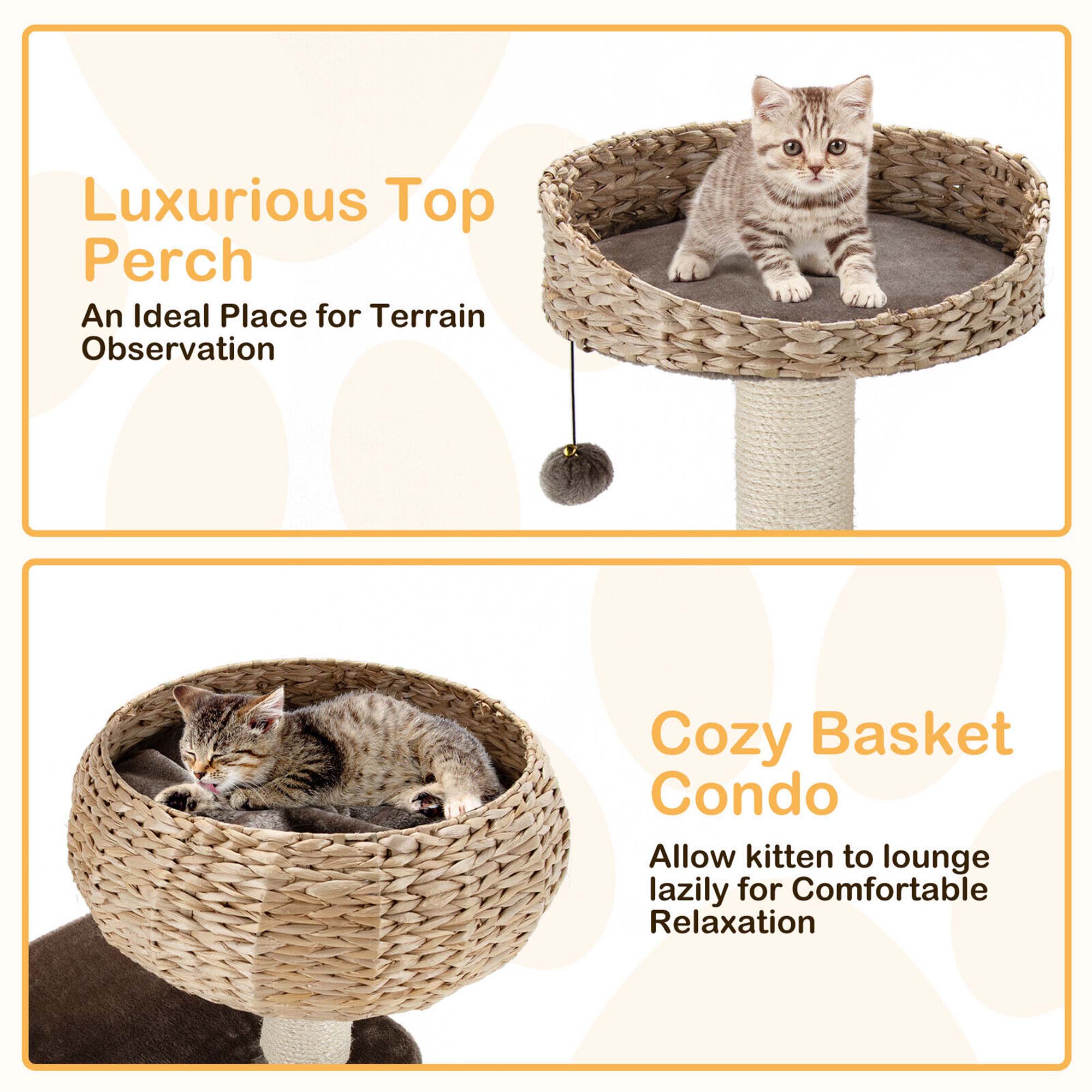 Luxurious Top Perch  
An Ideal Place for Terrain Observation  

Cozy Basket Condo  
Allow kitten to lounge lazily for Comfortable Relaxation