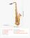 - Item Model Number: JTAS-401
- Type: Curved Tube
- Pitch: Tenor, B Flat
- Range: 24 (C - E)
- Number of Keys: 23
- Main Material: Brass
- Product Weight: 12.35 lbs / 5.6 kg
- Product Dimensions: 33.07 x 19.69 x 5.91 in / 840 x 500 x 150 mm