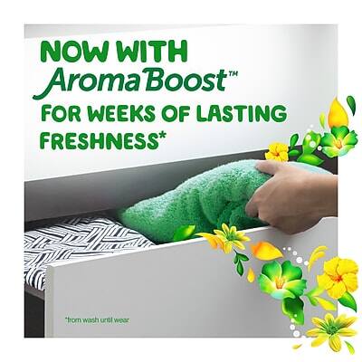 NOW WITH  
Aroma Boost™  
FOR WEEKS OF LASTING FRESHNESS*  
*from wash until wear