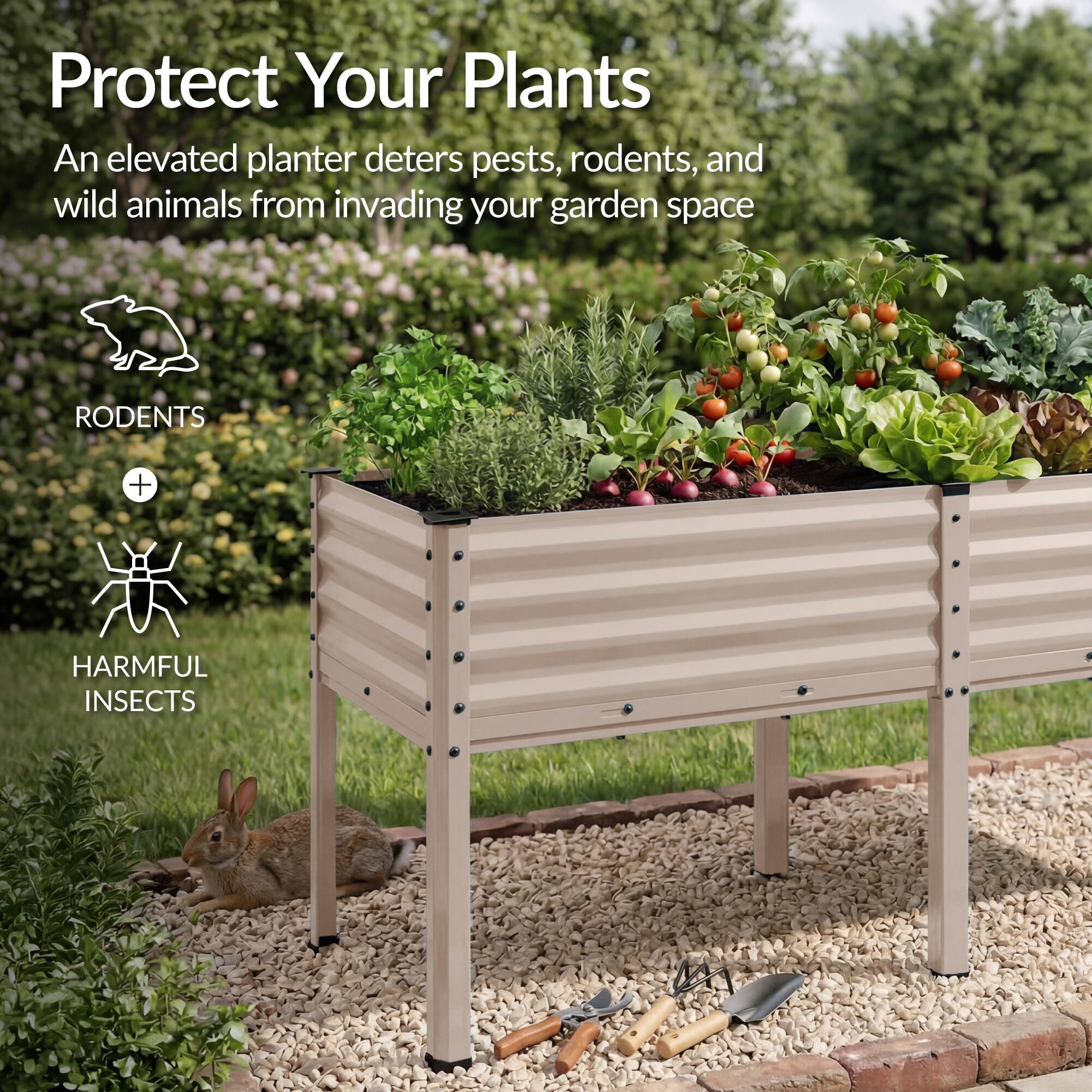 Protect Your Plants

An elevated planter deters pests, rodents, and wild animals from invading your garden space

RODENTS + HARMFUL INSECTS