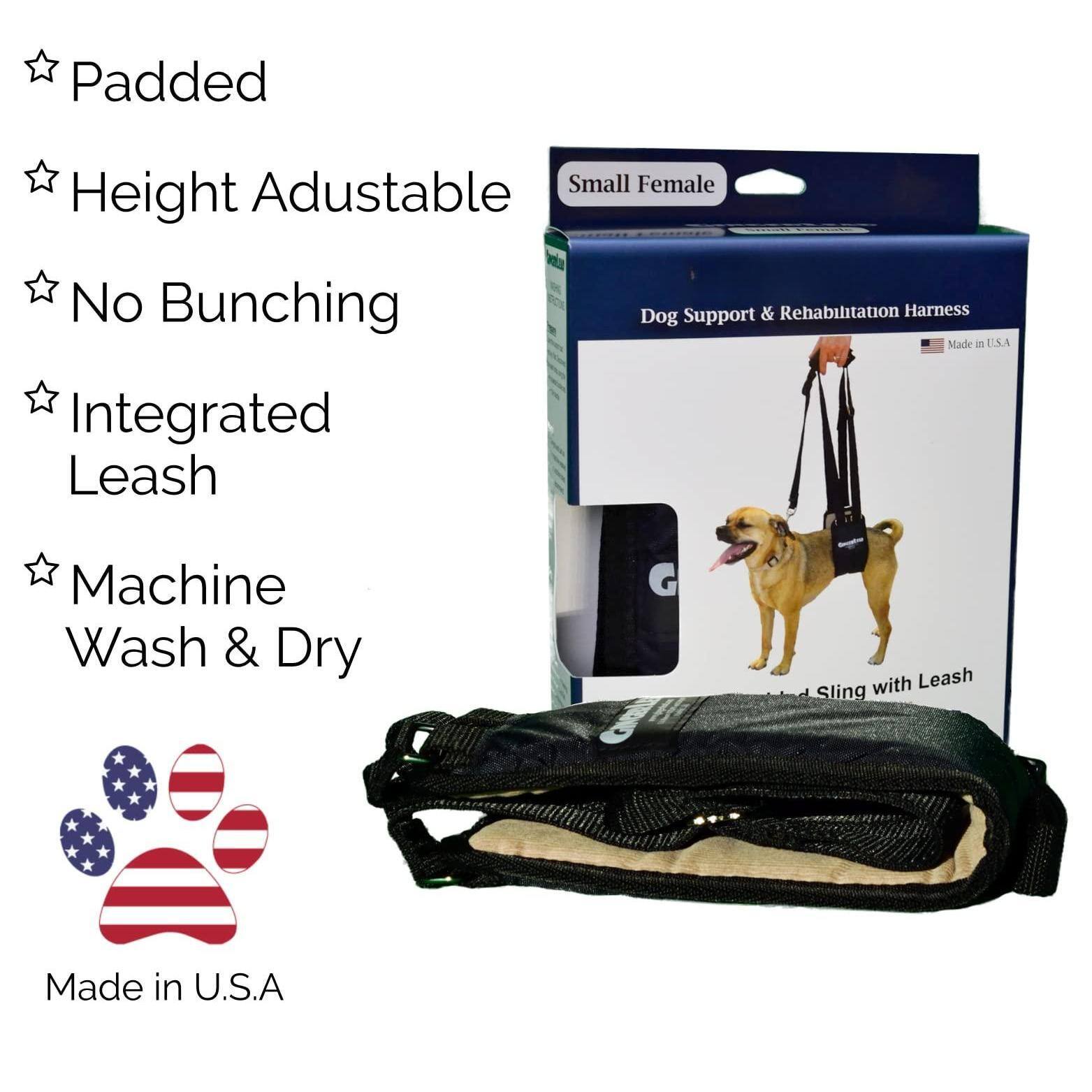 - Padded
- Height Adjustable
- No Bunching
- Integrated Leash
- Machine Wash & Dry

Small Female

Dog Support & Rehabilitation Harness

Made in U.S.A.