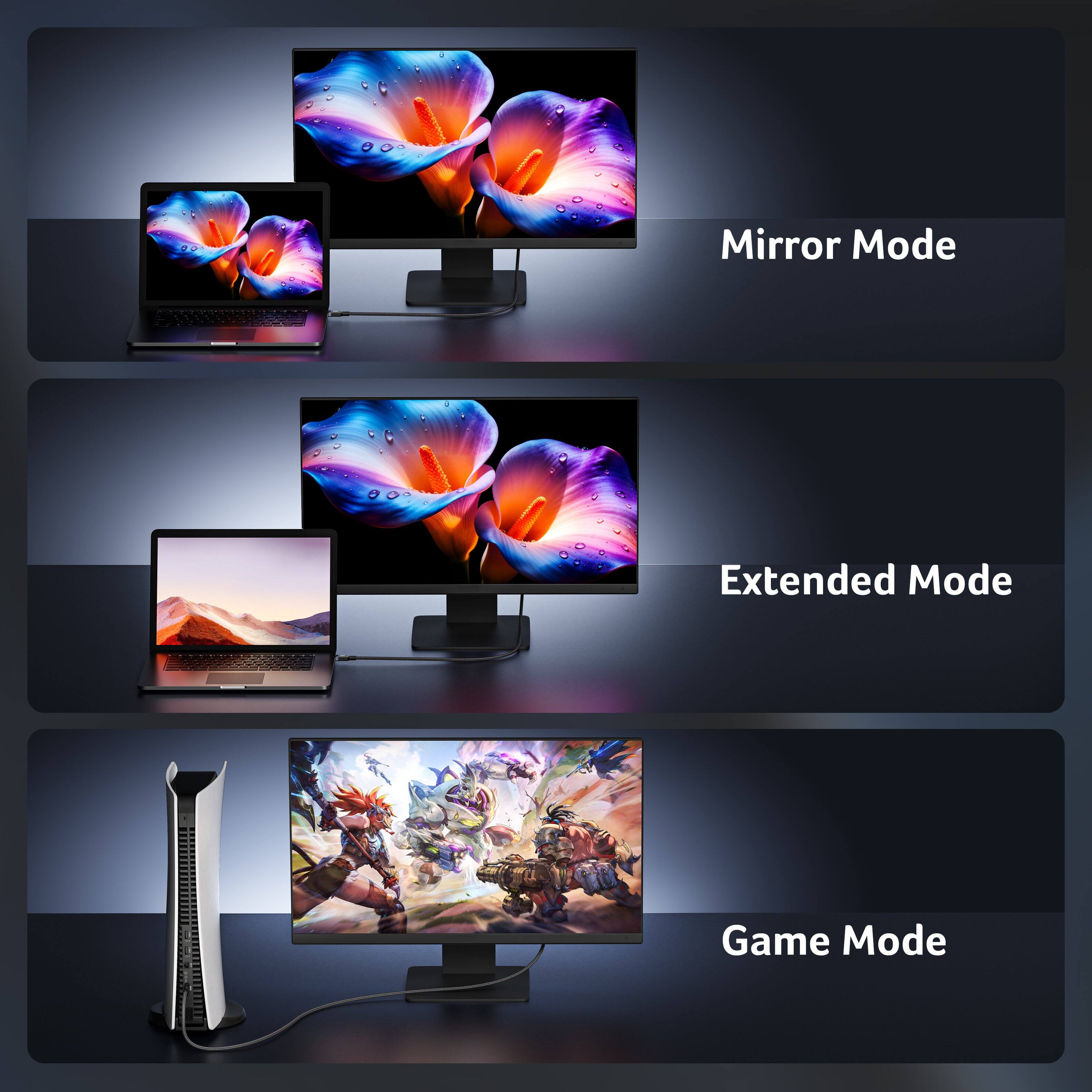 Mirror Mode  
Extended Mode  
Game Mode