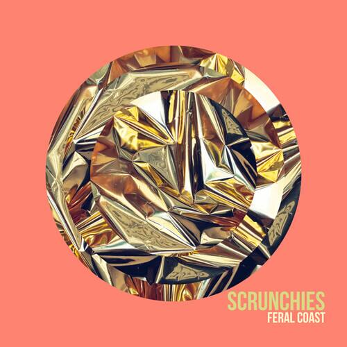 Feral Coast [LP] [VINYL] price history on PriceWatchPro