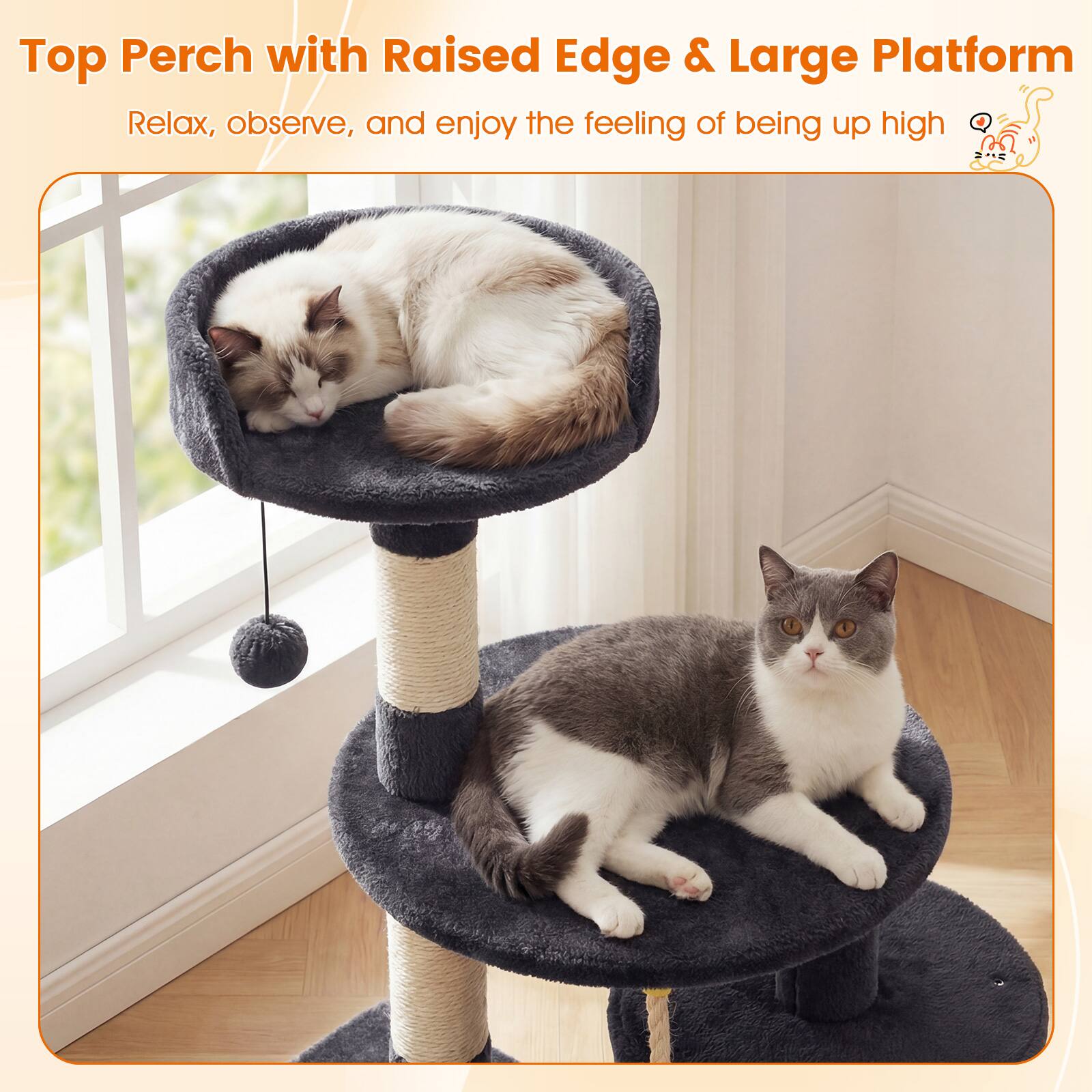 Top Perch with Raised Edge & Large Platform  
Relax, observe, and enjoy the feeling of being up high