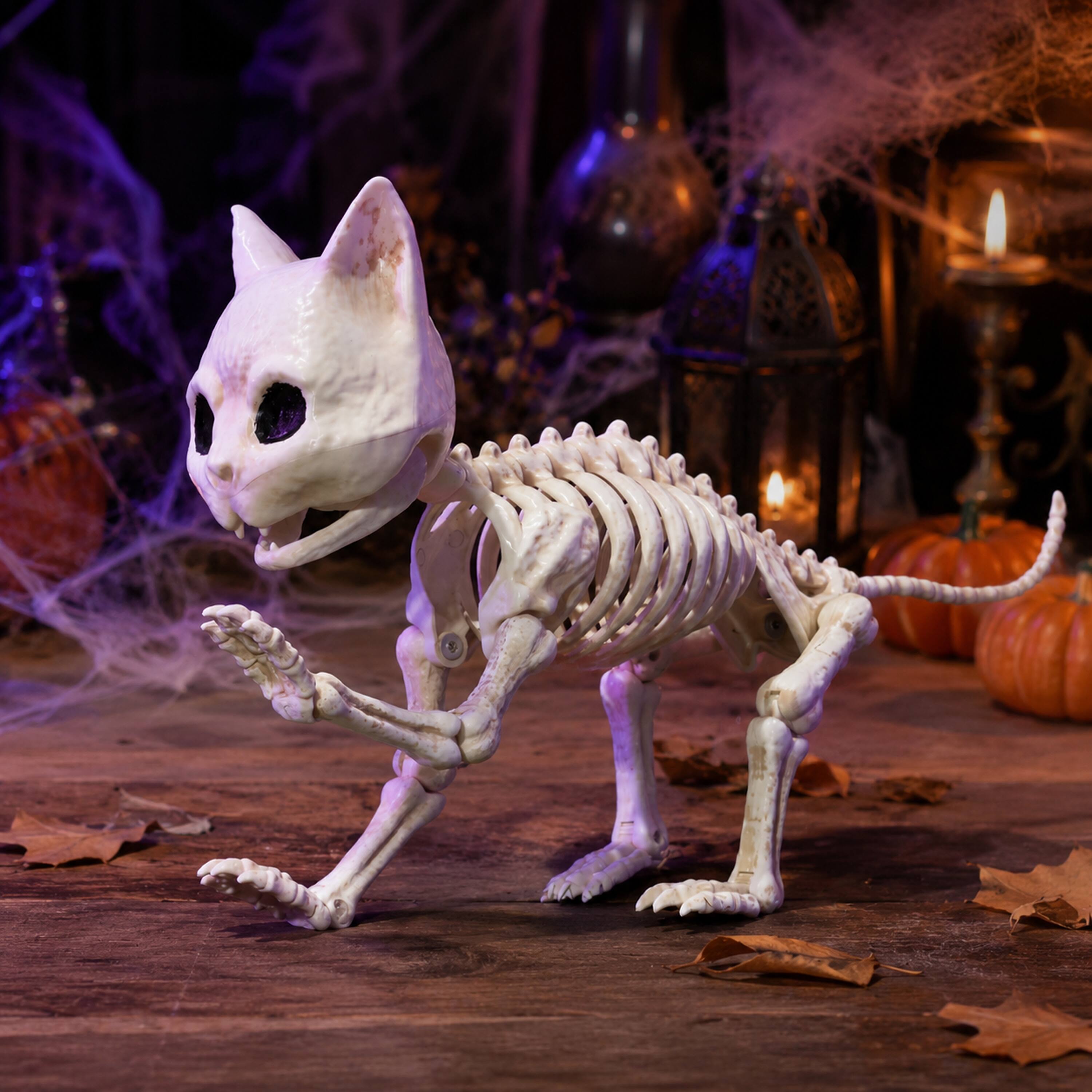 Angle. Joyfy - 8 Inch Cat Skeleton Halloween Decoration with Movable Joints for Indoor Outdoor Yard Garden Lawn Patio Party Favors - White.