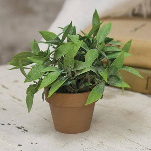 Front. BreeBe - Gatehouse Herb Pot #3 6" - Green, Brown.