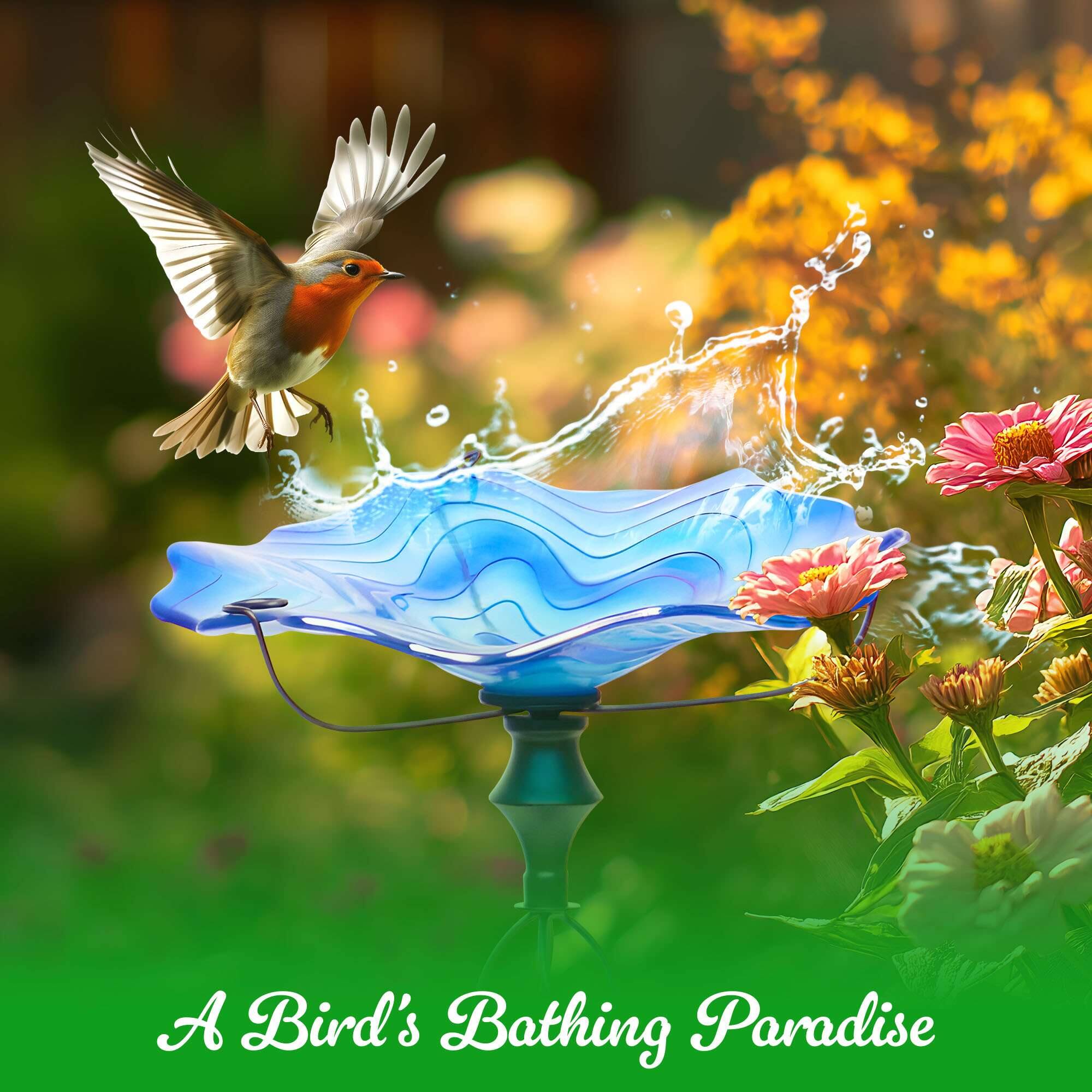 A Bird's Bathing Paradise
