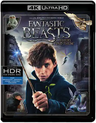 Fantastic Beasts and Where to Find Them   - 4K Blu-Ray [Standard] [4K Ultra HD Blu-ray]