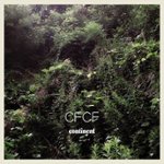 Front Standard. Continent [CD].