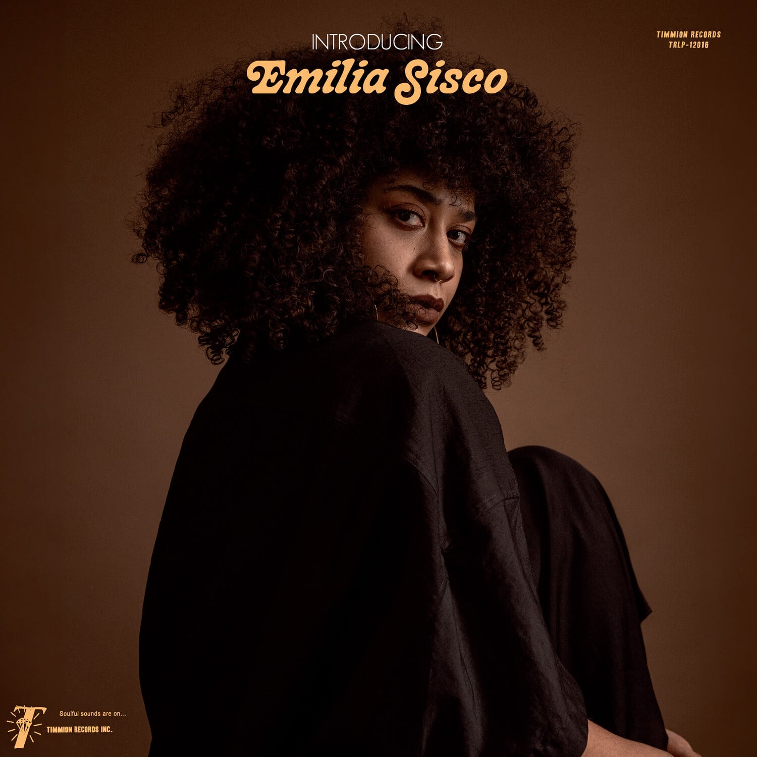 Emilia Sisco - Introducing Emilia Sisco   - VINYL LP price history on PriceWatchPro