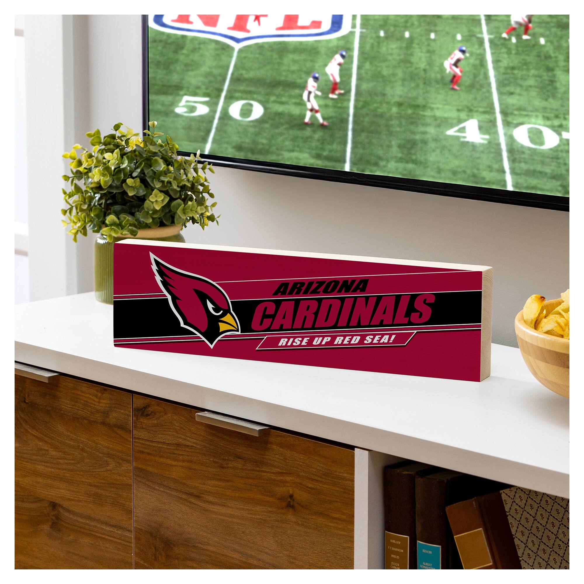 ARIZONA CARDINALS  
RISE UP RED SEA!