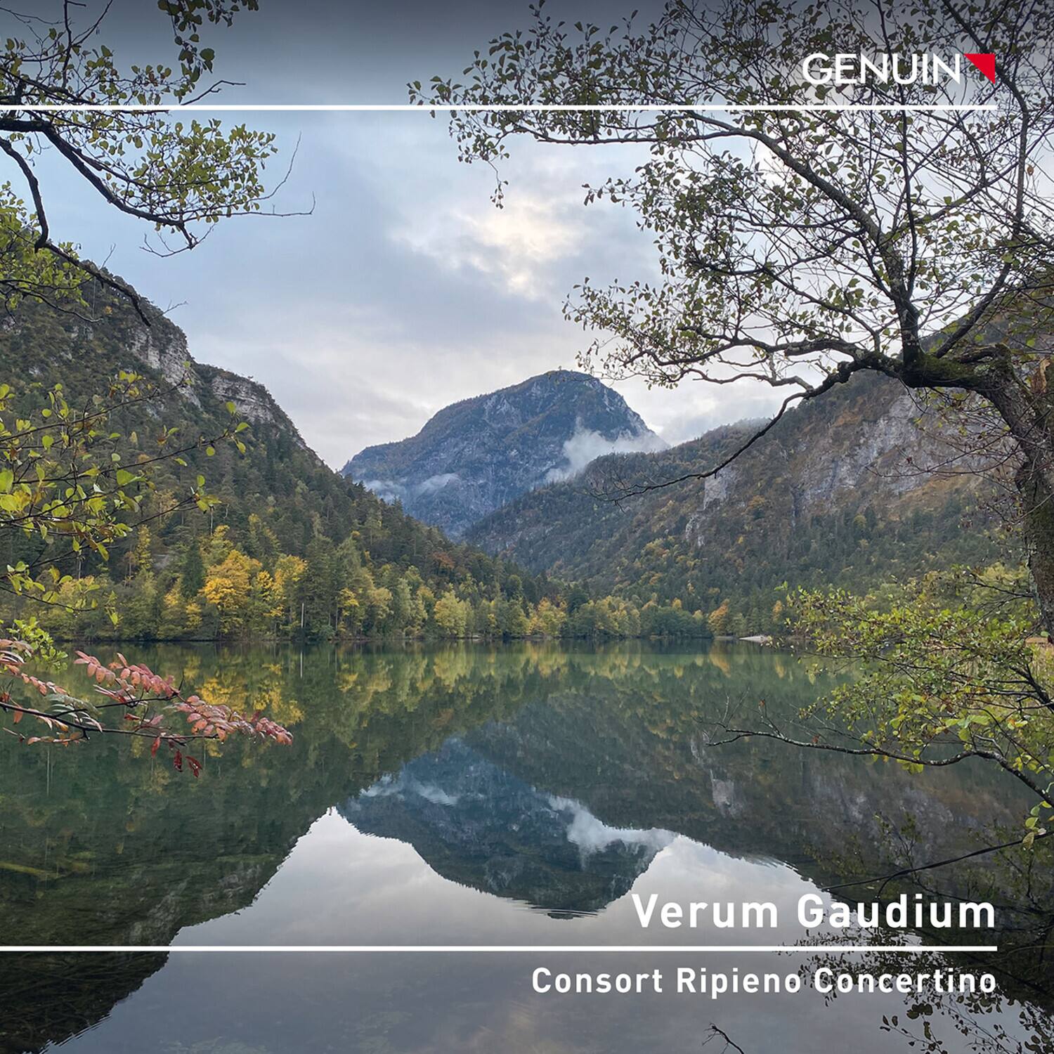 GENUIN

Verum Gaudium  
Consort Ripieno Concertino