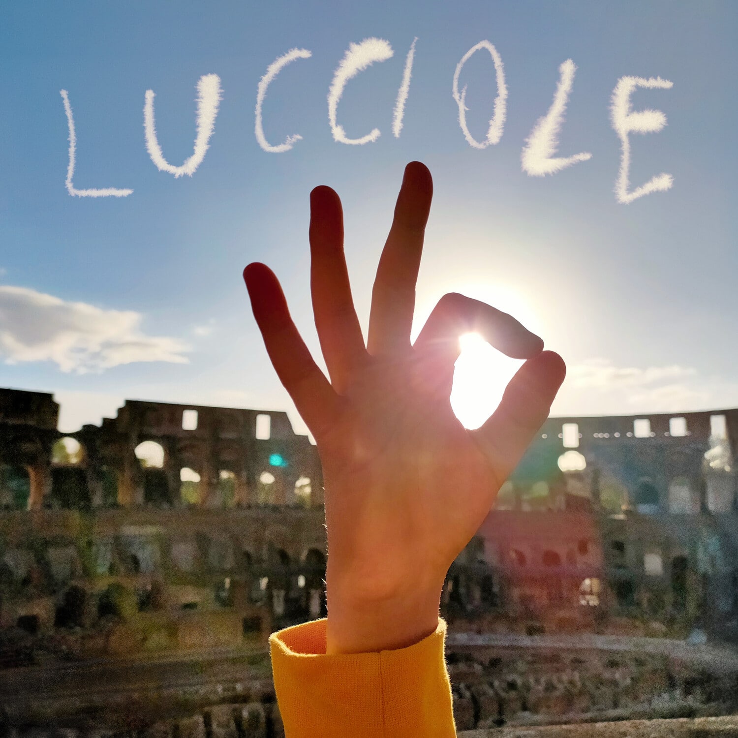 Silvia Tarozzi - Lucciole   - VINYL LP price history on PriceWatchPro