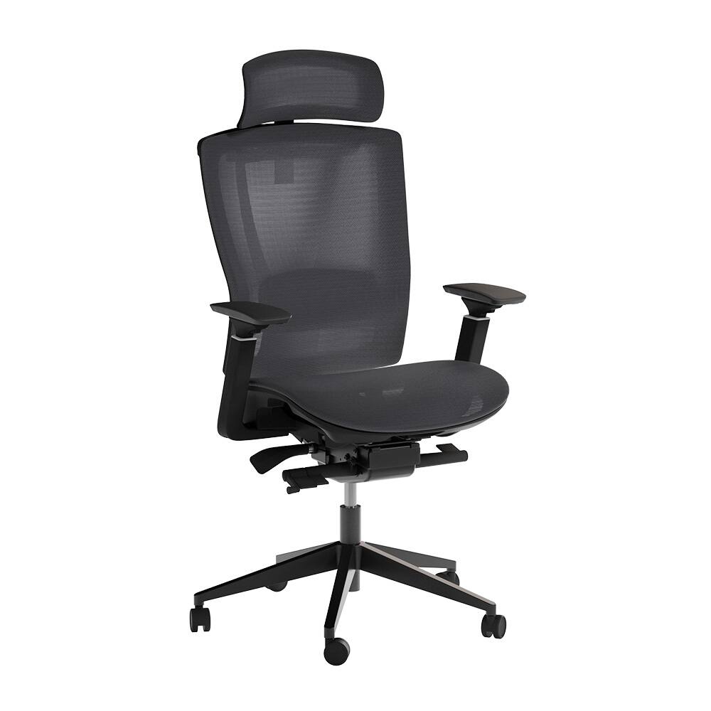 Front. Autonomous - ErgoChair Pro Office Chair Lumbar Support Mesh - Black.