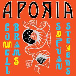 Sufjan Stevens - Aporia - VINYL LP