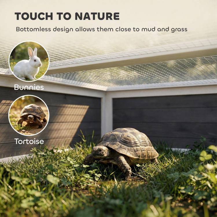 TOUCH TO NATURE  
Bottomless design allows them close to mud and grass

Bunnies  
Tortoise