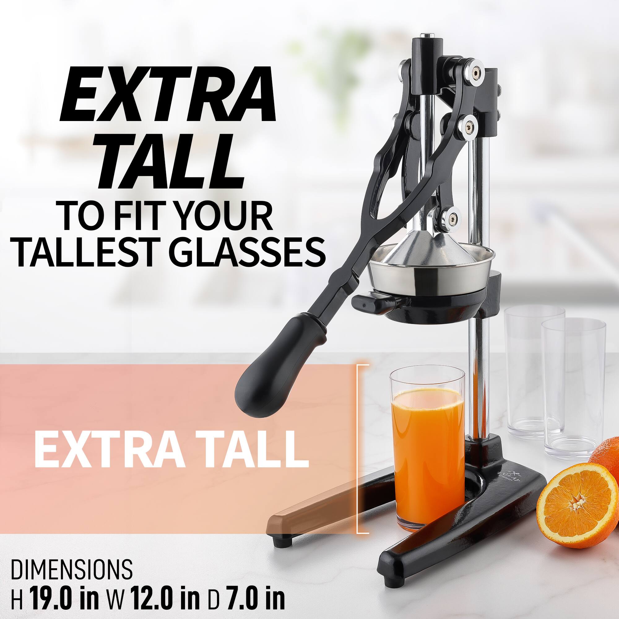 EXTRA TALL TO FIT YOUR TALLEST GLASSES

EXTRA TALL

DIMENSIONS
H 19.0 in W 12.0 in D 7.0 in