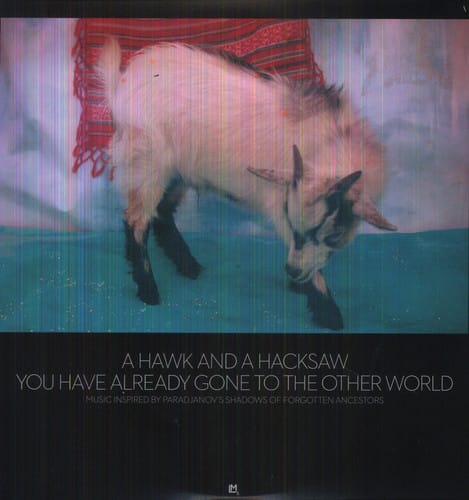 A Hawk and a Hacksaw - You Have Already Gone to the Other World  - VINYL LP