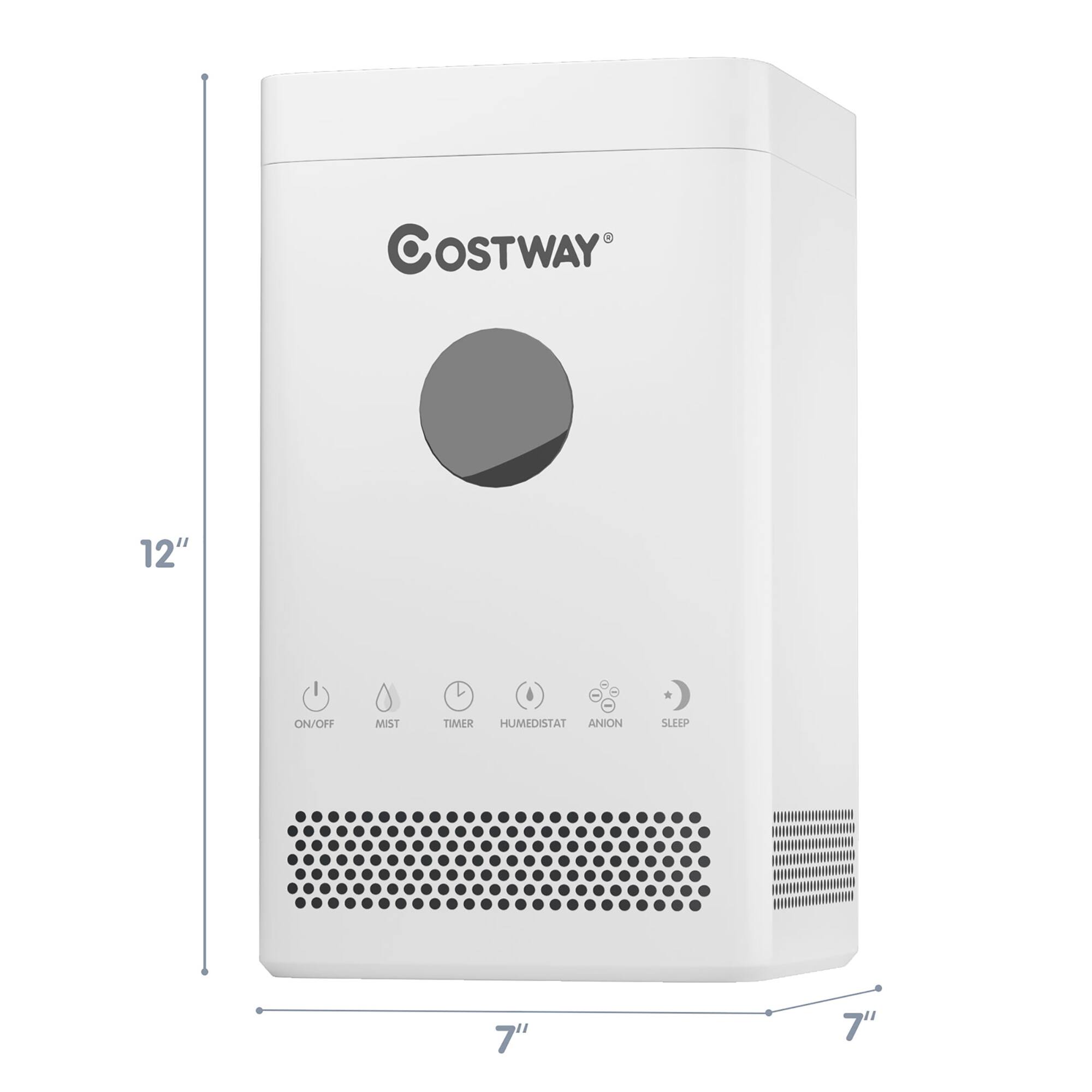 A Costway 12" humidistat anion sleep timer is shown in the image.