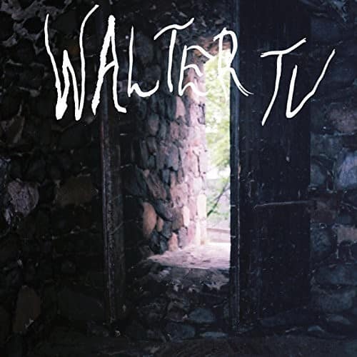 Walter TV - Blessed  - VINYL LP