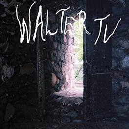 Walter TV - Blessed - VINYL LP