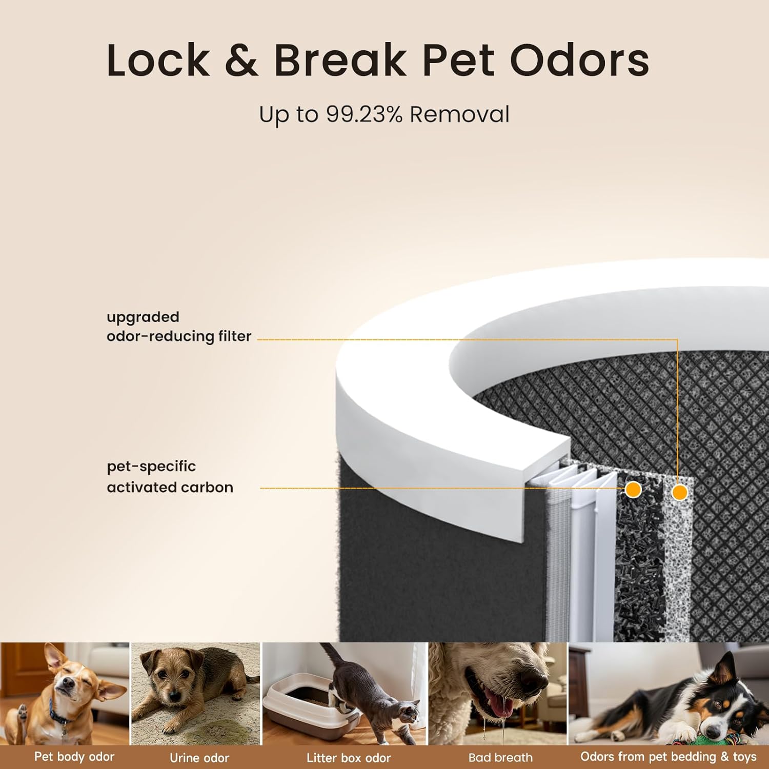 Lock & Break Pet Odors  
Up to 99.23% Removal  

- Upgraded odor-reducing filter  
- Pet-specific activated carbon  

Pet body odor  
Urine odor  
Litter box odor  
Bad breath  
Odors from pet bedding & toys