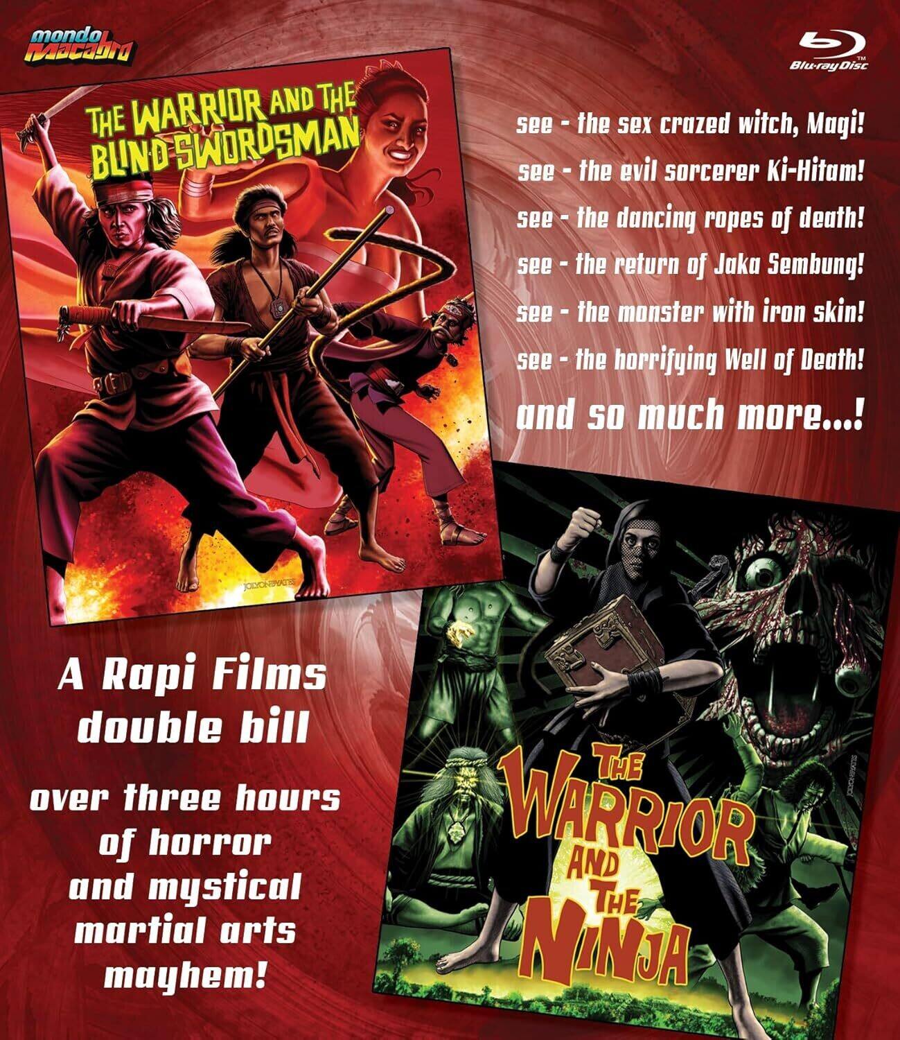 Front. The Warrior and the Blind Swordsman / The Warrior and the Ninja ...