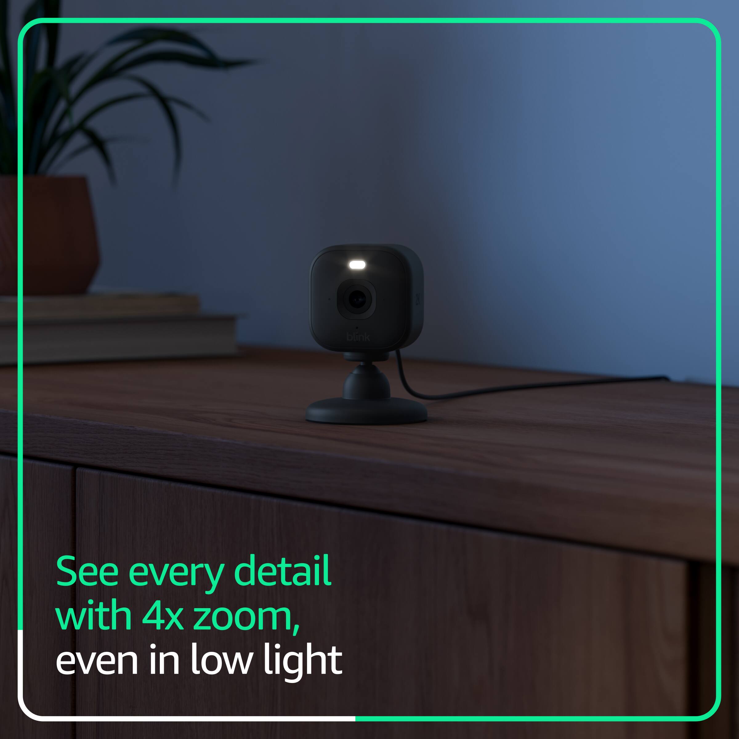 See every detail with 4x zoom, even in low light
