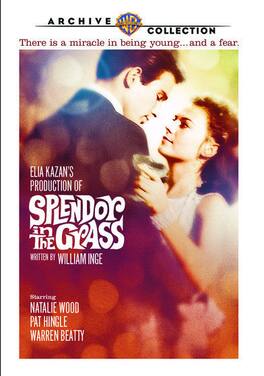 Splendor in the Grass - DVD